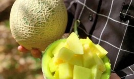 娱乐吃瓜在国外叫什么,国际版“八卦”文化解析